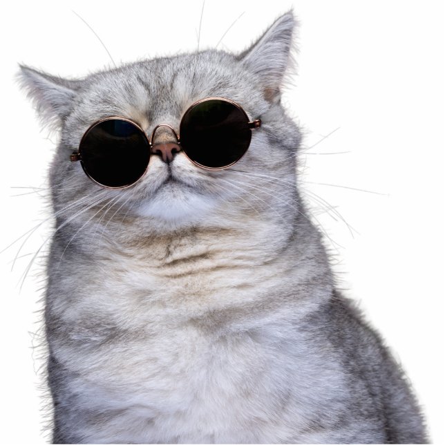 Custom Pet Cat Photo Sculpture Cutout Staand Fotobeeldje (Voorkant)