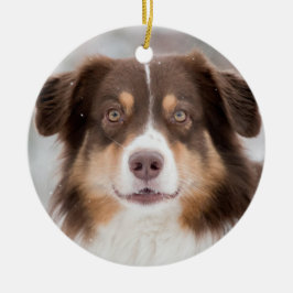 Custom Pet Dog 2 Foto Kerstmis Keramisch Ornament