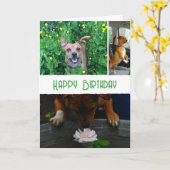 Custom pet (dog) photo and message kaart (Gele Bloem)