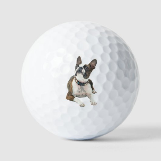 Custom Pet Dog Photo Modern Personalized Golf Ball Golfballen (Voorkant)