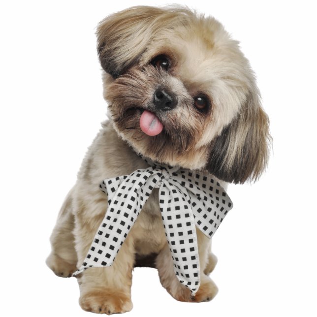 Custom Pet Dog Photo Sculpture Cutout Staand Fotobeeldje (Voorkant)