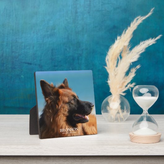 Custom Pet Memorial Foto Fotoplaat (Insitu)