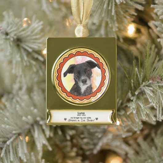 Custom Pet Memorial Ornament - Sympathy Gift Verguld Banner Ornament (Boom)