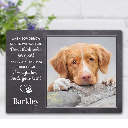 Custom Pet Memorial - Pet Loss Gift - Herdenking Fotoplaat