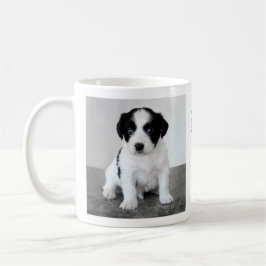 Custom Pet Photo 2025 Calendar Coffee Mok