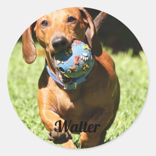 Custom Pet Photo and Text   Ronde Sticker (Voorkant)