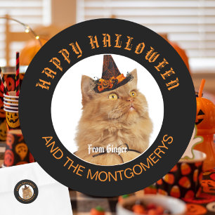 Custom Pet Photo Cat Lover Sinaasappel Zwart Hallo Ronde Sticker