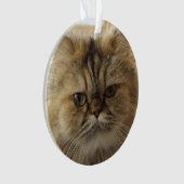 CUSTOM PET PHOTO CAT ORNAMENT (voorkant)