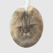 CUSTOM PET PHOTO CAT ORNAMENT (voorkant)