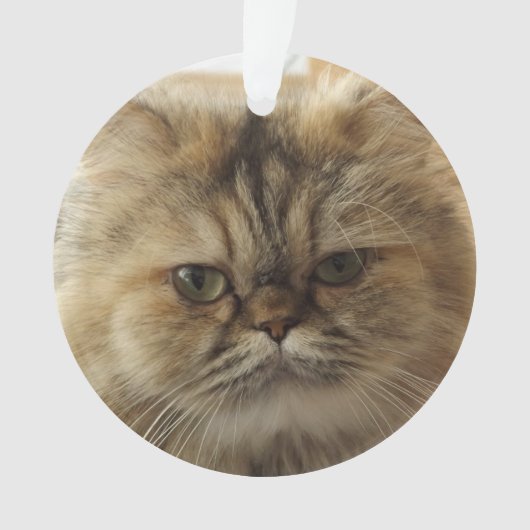 CUSTOM PET PHOTO CAT ORNAMENT (voorkant)