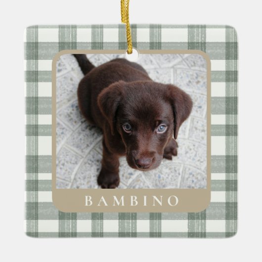 Custom Pet Photo Christmas Ornament (Voorkant)
