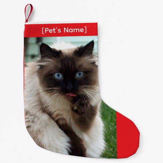 Custom Pet Photo Christmas Stocking Kleine Kerstsok (Voorkant)