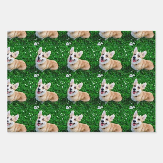 Custom Pet Photo Inpakpapier Vel (Voorkant)