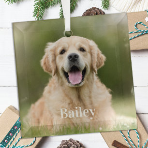 Custom Pet Photo Modern Eenvoudig Hondenliefhebber Glas Ornament