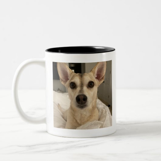 Custom Pet Photo Mok – Gepersonaliseerde hond of k (Links)