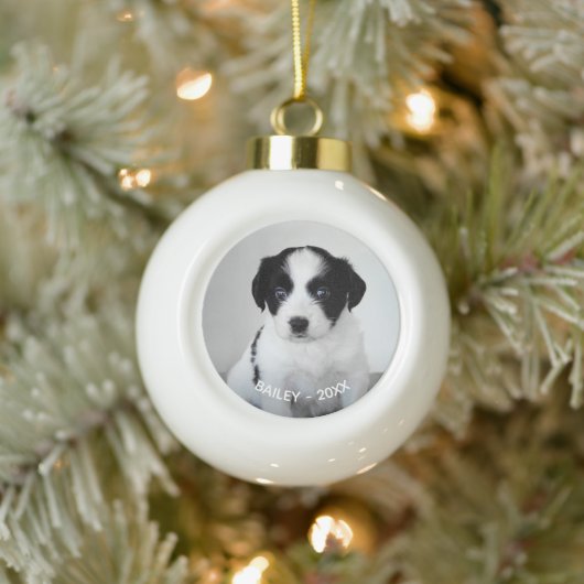 Custom Pet Photo Naam en Jaar Keramische Bal Ornament (Boom)