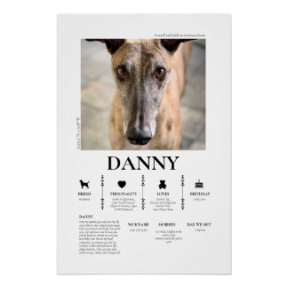 Custom Pet Photo  Perfect Poster