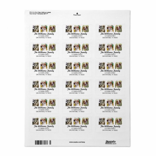 Custom Pet Photo Return Address Etiket (Full Sheet)