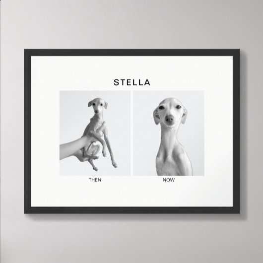 Custom Pet Portrait | Then and Now Poster