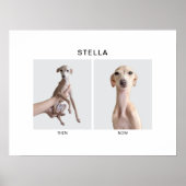 Custom Pet Portrait | Then and Now Poster (Voorkant)