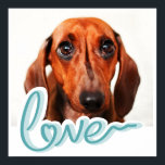 Custom Pet Poster with Modern Blue Typography<br><div class="desc">Add your pet's photo to this poster with the word LOVE in handwritten monochrome blue typography, for a unique and stylish addition to your home decor. Make sure your guests know that, for you, dogs ARE family. This would make a wonderful gift for a devoted dog mom or dad for...</div>