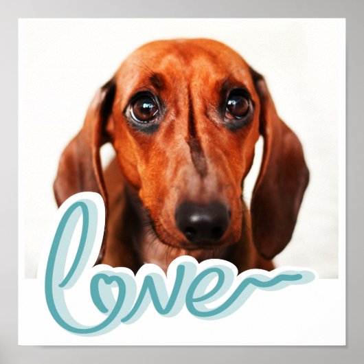 Custom Pet Poster with Modern Blue Typography (Voorkant)