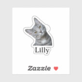 Custom Pet Sticker, Custom Dog Sticker, Custom Cat Sticker (Vel)