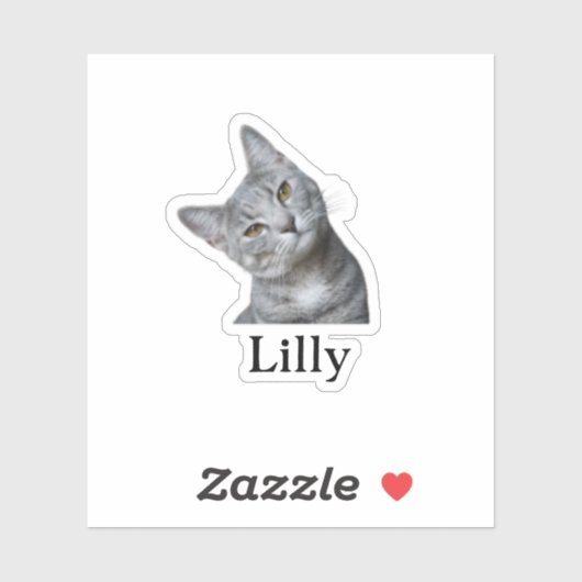 Custom Pet Sticker, Custom Dog Sticker, Custom Cat Sticker (Vel)