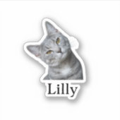 Custom Pet Sticker, Custom Dog Sticker, Custom Cat Sticker (Voorkant)