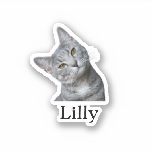 Custom Pet Sticker, Custom Dog Sticker, Custom Cat Sticker (Voorkant)