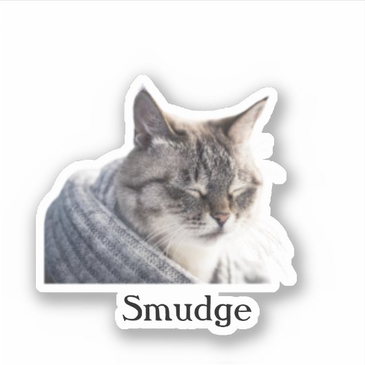 Custom Pet Sticker, Custom Dog Sticker, Custom Cat Sticker (Voorkant)