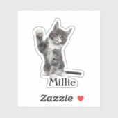 Custom Pet Sticker, Custom Dog Sticker, Custom Cat Sticker (Vel)