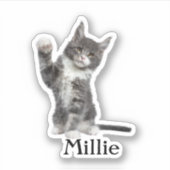 Custom Pet Sticker, Custom Dog Sticker, Custom Cat Sticker (Voorkant)