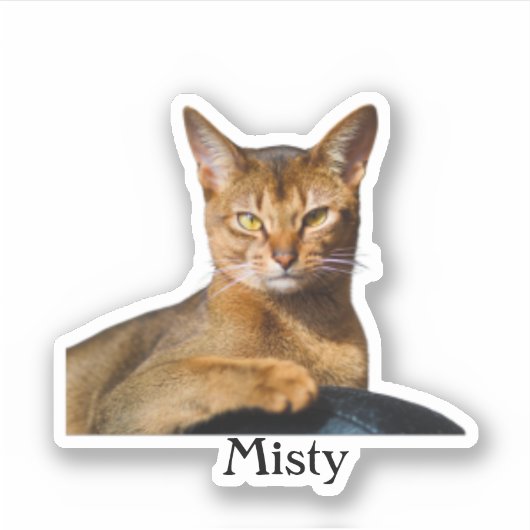 Custom Pet Sticker, Custom Dog Sticker, Custom Cat Sticker (Voorkant)