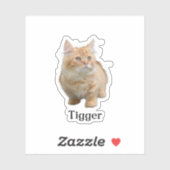 Custom Pet Sticker, Custom Dog Sticker, Custom Cat Sticker (Vel)