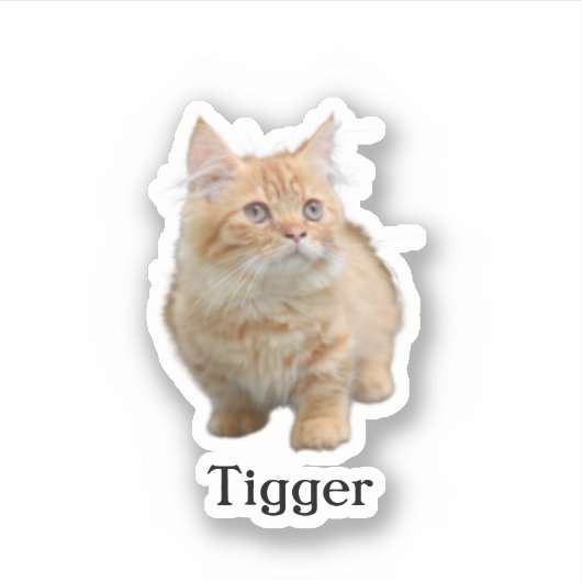 Custom Pet Sticker, Custom Dog Sticker, Custom Cat Sticker (Voorkant)