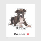 Custom Pet Sticker, Custom Dog Sticker, Custom Cat Sticker (Vel)