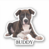 Custom Pet Sticker, Custom Dog Sticker, Custom Cat Sticker (Voorkant)