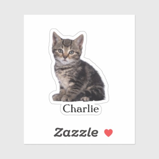 Custom Pet Sticker, Custom Dog Sticker, Custom Cat Sticker (Vel)