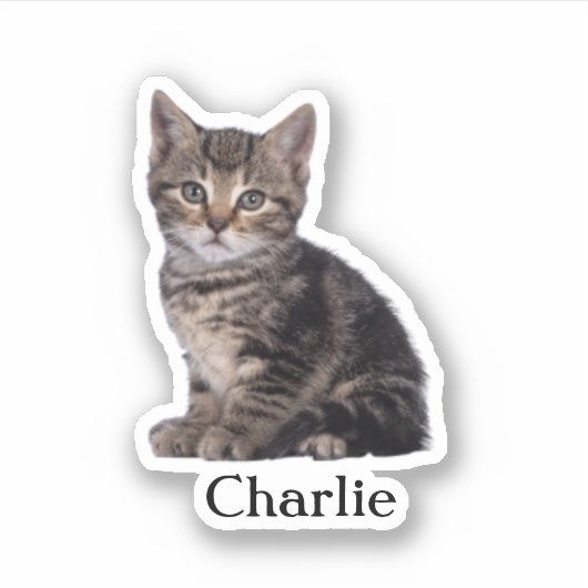 Custom Pet Sticker, Custom Dog Sticker, Custom Cat Sticker (Voorkant)