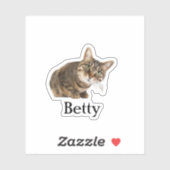 Custom Pet Sticker, Custom Dog Sticker, Custom Cat Sticker (Vel)