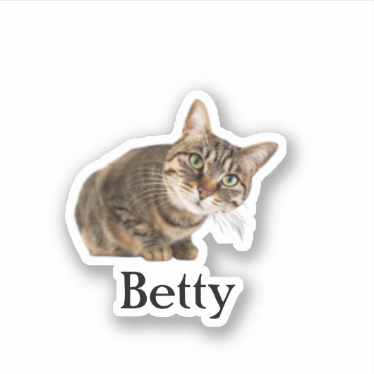 Custom Pet Sticker, Custom Dog Sticker, Custom Cat Sticker (Voorkant)