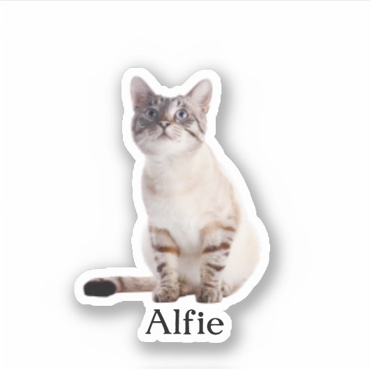 Custom Pet Sticker, Custom Dog Sticker, Custom Cat Sticker (Voorkant)