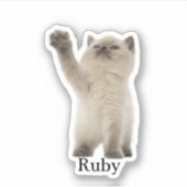 Custom Pet Sticker, Custom Dog Sticker, Custom Cat Sticker (Voorkant)