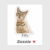 Custom Pet Sticker, Custom Dog Sticker, Custom Cat Sticker (Vel)