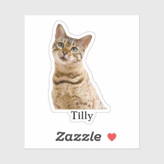 Custom Pet Sticker, Custom Dog Sticker, Custom Cat Sticker (Vel)