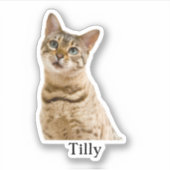 Custom Pet Sticker, Custom Dog Sticker, Custom Cat Sticker (Voorkant)