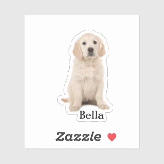 Custom Pet Sticker, Custom Dog Sticker, Custom Cat Sticker (Vel)