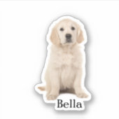 Custom Pet Sticker, Custom Dog Sticker, Custom Cat Sticker (Voorkant)