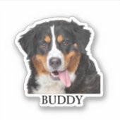 Custom Pet Sticker, Custom Dog Sticker, Custom Cat Sticker (Voorkant)